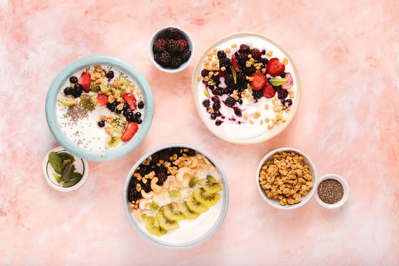 Yogurt and dairy derivatives